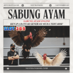 Sabung Ayam Online Kenapa Banyak Generasi Muda Tertarik?